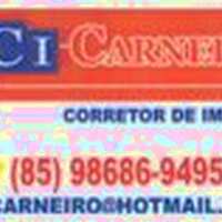 Carneiro Corretor