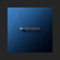 Marcus Vinicius Rocha Da Silva