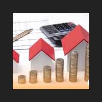 Tarcisio De Araújo Falcão Junior