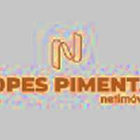 Lopes Pimenta Netimoveis
