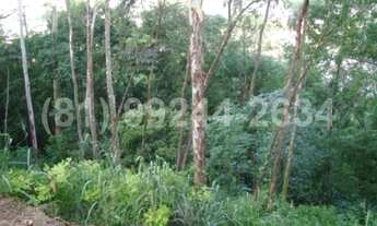 Imagem 7: Apartamento de 5 quartos, 200m² no bairro Apipucos, em Recife