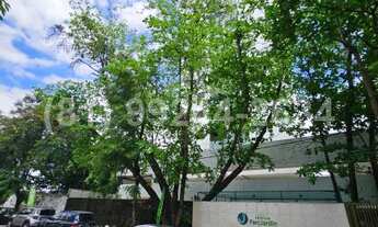 Imagem: Apartamento de 3 quartos, 57m² no bairro