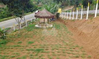 Imagem 4: Terreno Ás Margens do Asfalto que da acesso ao distrito de Pirituba