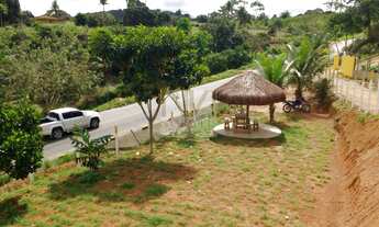 Imagem 5: Terreno Ás Margens do Asfalto que da acesso ao distrito de Pirituba