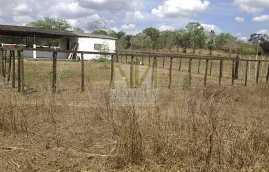 Imagem 5: Chacara em Santana