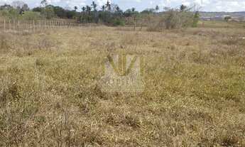 Imagem 3: Chacara em Santana