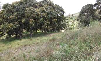 Imagem 3: TERRENO EM VITORIA DE SANTO ANTÃO Á 1 KM DO CENTRO DA CIDADE