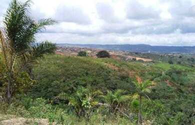 Imagem 4: TERRENO EM VITORIA DE SANTO ANTÃO Á 1 KM DO CENTRO DA CIDADE