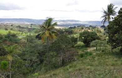Imagem 5: TERRENO EM VITORIA DE SANTO ANTÃO Á 1 KM DO CENTRO DA CIDADE