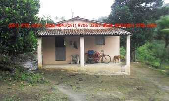 Imagem: SITIO EM VITORIA DE SANTO ANTÃO