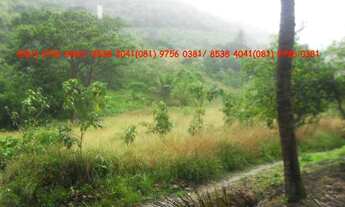 Imagem 3: SITIO EM VITORIA DE SANTO ANTÃO