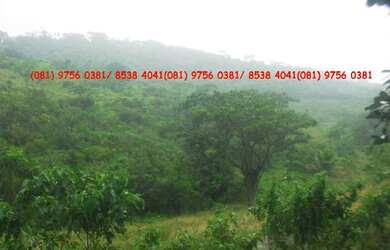 Imagem 6: SITIO EM VITORIA DE SANTO ANTÃO