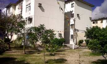 Imagem: EDF. FELIPE CAMARÃO