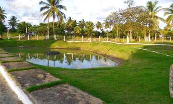 Imagem 3: TERRENO EM PORTO DE GALINHAS