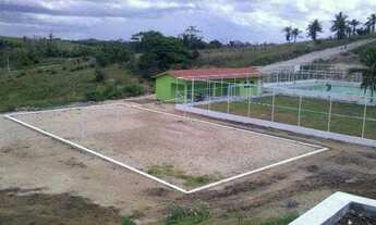 Imagem 7: TERRENO EM PORTO DE GALINHAS