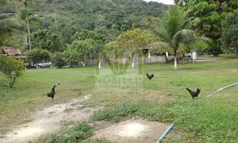 Imagem 3: CHÁCARA EM VITÓRIA