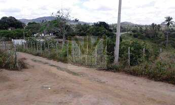 Imagem: SITIO EM DOIS LEÕES EM VITORIA