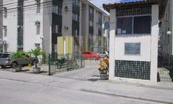 Imagem: Bosque das Palmeiras