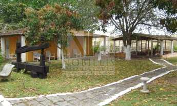 Imagem: Fazenda Paraiso, 170000M² de Área Total