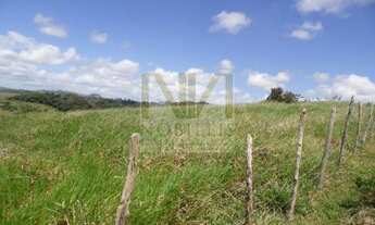 Imagem: Fazenda Pra Arrendar Ou vender 90,5 Ha