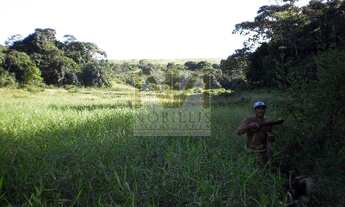 Imagem 3: Fazenda Pra Arrendar Ou vender 90,5 Ha
