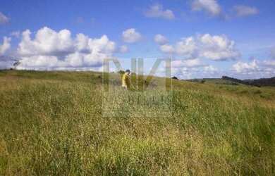 Imagem 4: Fazenda Pra Arrendar Ou vender 90,5 Ha