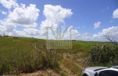 Imagem 7: Fazenda Pra Arrendar Ou vender 90,5 Ha