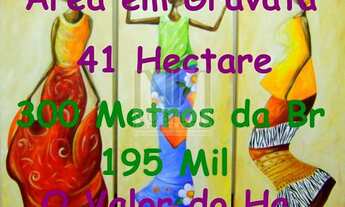 Imagem: Área Em Saire entre Gravata Bezerros