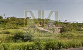 Imagem 2: Terreno Em Vitória de Santo Antão Próximo a BR-232