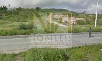 Imagem 7: Terreno Em Vitória de Santo Antão Próximo a BR-232