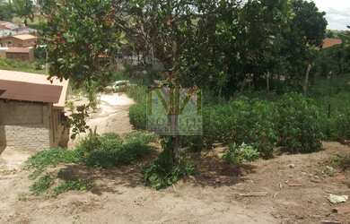 Imagem 7: Mini Chacara em Gravatá em Perímetro Urbano