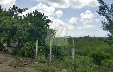 Imagem 2: Chácara dos sonhos próximo a Goiana