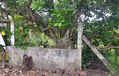 Imagem 3: Chácara dos sonhos próximo a Goiana