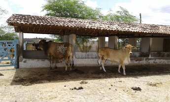 Imagem: Venha Desfrutar de Uma vida Calma e Sossegada