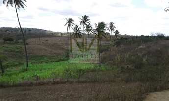 Imagem 2: Venha Desfrutar de Uma vida Calma e Sossegada na Roça