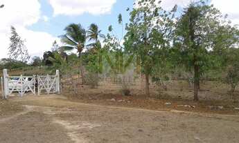 Imagem 3: Venha Desfrutar de Uma vida Calma e Sossegada na Roça