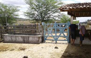 Imagem 4: Venha Desfrutar de Uma vida Calma e Sossegada na Roça