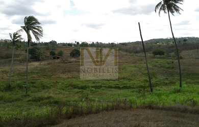 Imagem 5: Venha Desfrutar de Uma vida Calma e Sossegada na Roça