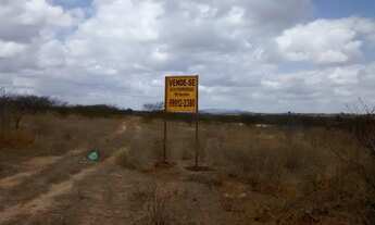 Imagem 5: FAZENDA PRÓXIMO A SÃO TOMÉ