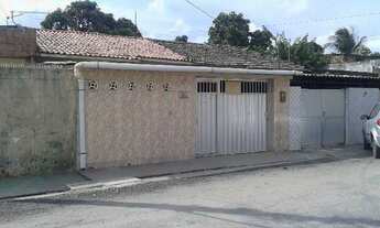 Imagem: CASA - MUSTARDINHA