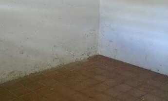 Imagem 3: CASA - AFOGADOS Casa com 3 dormitórios