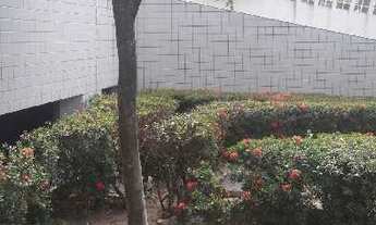 Imagem 2: CATEDRAL SANTA CECÍLIA