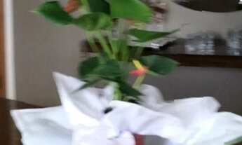 Imagem 5: Apartamentos a venda no Fundinho em Uberlândia com 3 Quartos