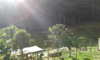 Imagem 4: Sítio Montado com pomar e casa em Madeira - Pedra Azul