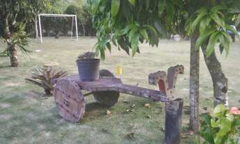 Imagem 6: Sítio Montado com pomar e casa em Madeira - Pedra Azul