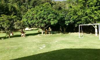 Imagem 7: Sítio Montado com pomar e casa em Madeira - Pedra Azul