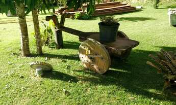 Imagem 5: Sítio Montado com pomar e casa em Madeira - Pedra Azul