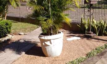 Imagem 2: Casa com 3 Dormitorio(s) localizado(a) no bairro Abel Figueiredo em Barra Seca (São Franc