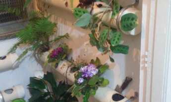 Imagem: Apartamento com 1 Dormitorio(s) localizado(a)