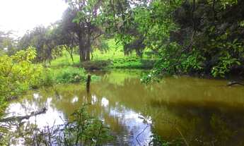 Imagem 2: Sítio com 3 Dormitorio(s) localizado(a) no bairro Antônia Cândida I em Brejo Santo / Rio